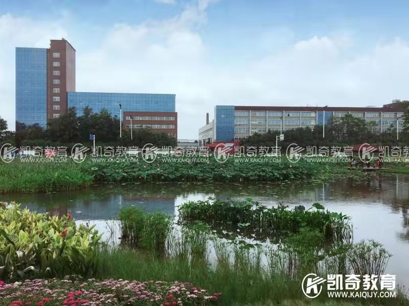 凯奇远景图